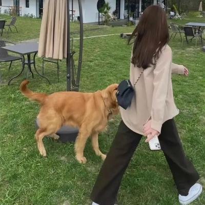 启蒙映画