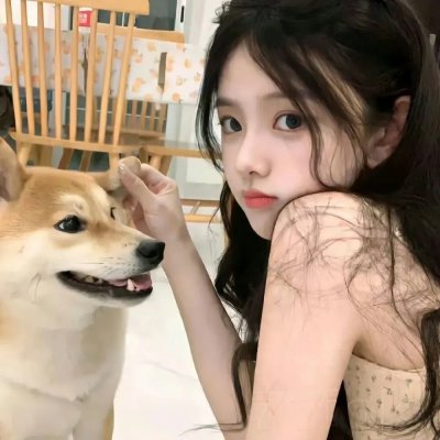 新版佐罗